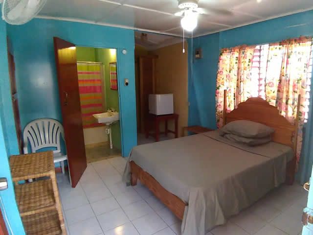 Ansells Thatchwalk Cottages Negril Jamaica - Room 1